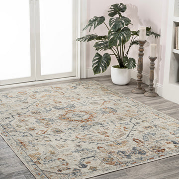 Shaemus Bohemian Medallion Low-Pile Machine-Washable Area Rug